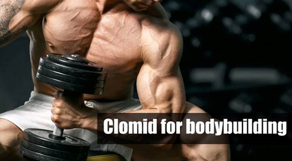Clomid for Bodybuilding: Benefits, Cycles and Side Effects