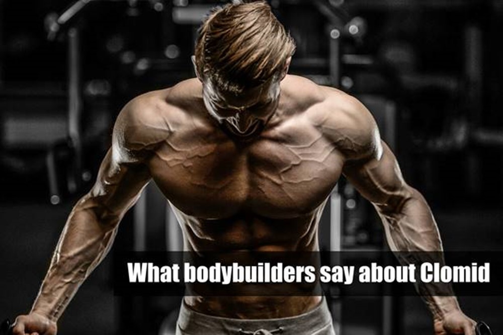 What bodybuilders say about Clomid